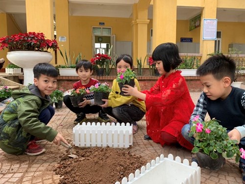 Ngày hội trồng cây trường Tiểu học Dương Hà